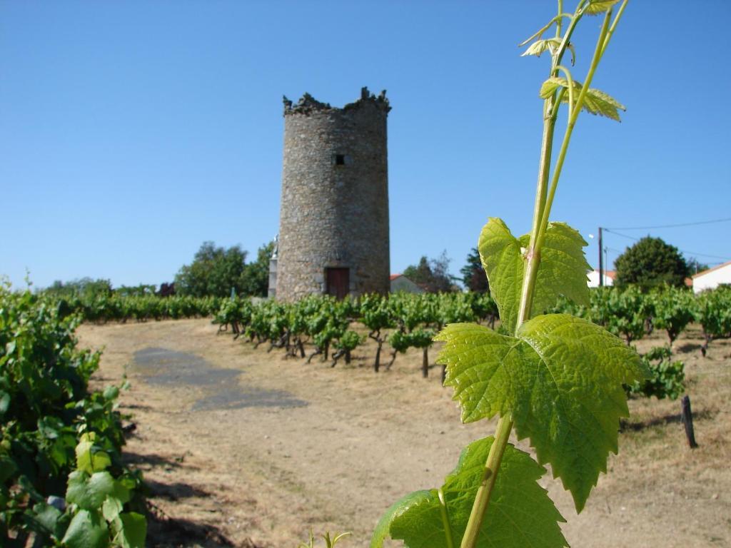 Relais De La Riniere Bed & Breakfast Le Landreau Bagian luar foto
